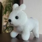Miの画像