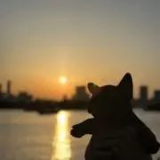 はの画像