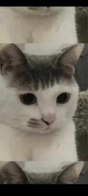 お湯の画像