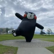 よっちゃんの画像