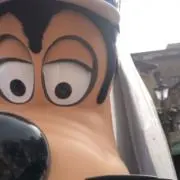 ちゃきの画像