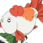 ゆっこの画像