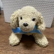 ベルの画像