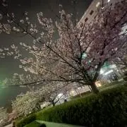 ⭐︎mico⭐︎プロフ必読！の画像