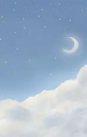 ssstの画像