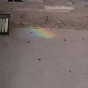 グリッタの画像