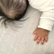 ちゃの画像