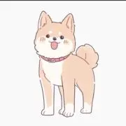 たこやきまん