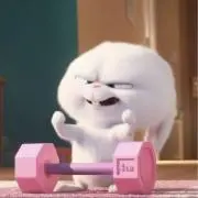 ひな