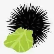 aの画像