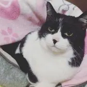 Mの画像