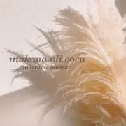 makana.oli.cocoの画像