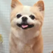 つんの画像