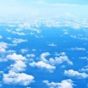 nakaの画像