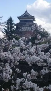 radishの画像