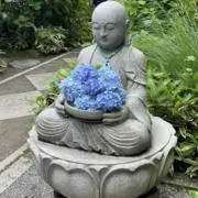 紫陽花の画像