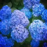 nk@断捨離中　希望価格コメントくださいの画像