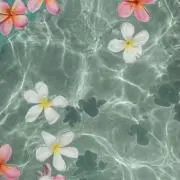 uraの画像