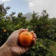 瀬戸内海物産の画像