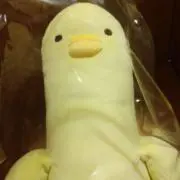 のこ◎複数購入の送料分値引きご相談下さいの画像