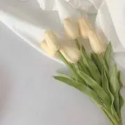 Noko⋆の画像