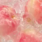 チキンの画像
