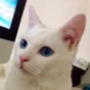 さな