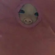 りょうの画像