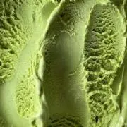 愛の画像