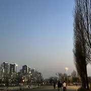 もんの画像