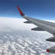 CADOLLの画像