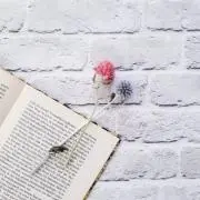 casaの画像