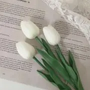 M♡の画像