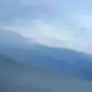 よーりんの画像
