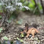 ⭐︎優358⭐︎の画像