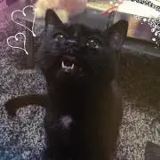 鏡月 ⚠️プロフ必読⚠️の画像