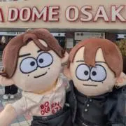 cocoの画像