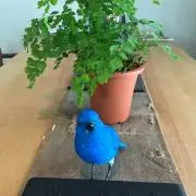 ゆうこ☆の画像
