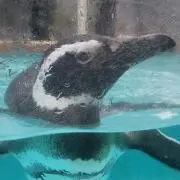 みの画像