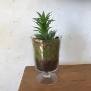 けいの画像