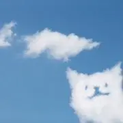 mameshibaの画像