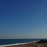 ゆの画像