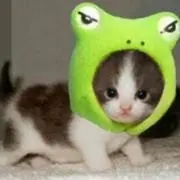 リコの画像