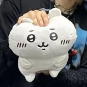 cの画像