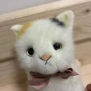 のんたんの画像