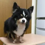 emi☆