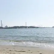 tommoの画像