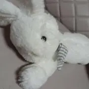 ももかんの画像