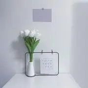 YUの画像