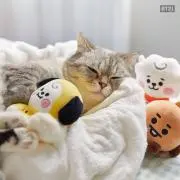 Image of ちむ◡̈プロフ確認ください